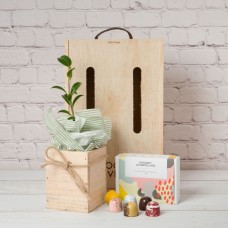 Tree & Chocolates